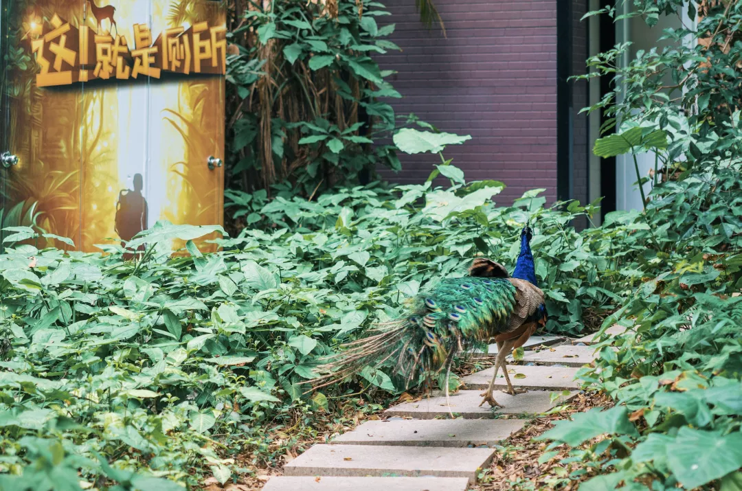 福州有网球场的小区(这座高颜值的岛屿城市，足足有4家国宾馆)