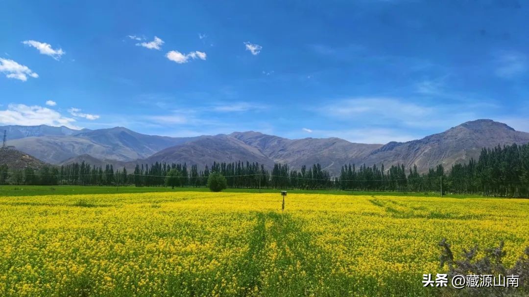 穿越藏南最美边境线路，过一个充满“多巴胺”的夏天！