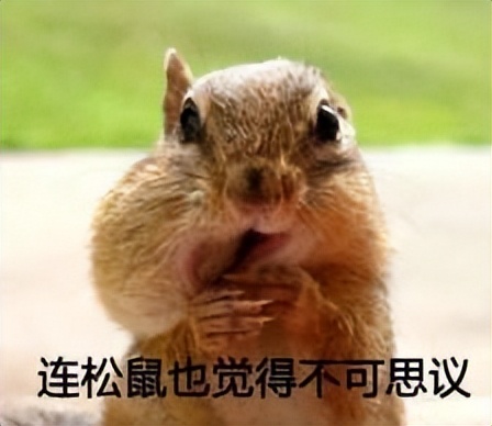 这不会又是一个Go的BUG吧？