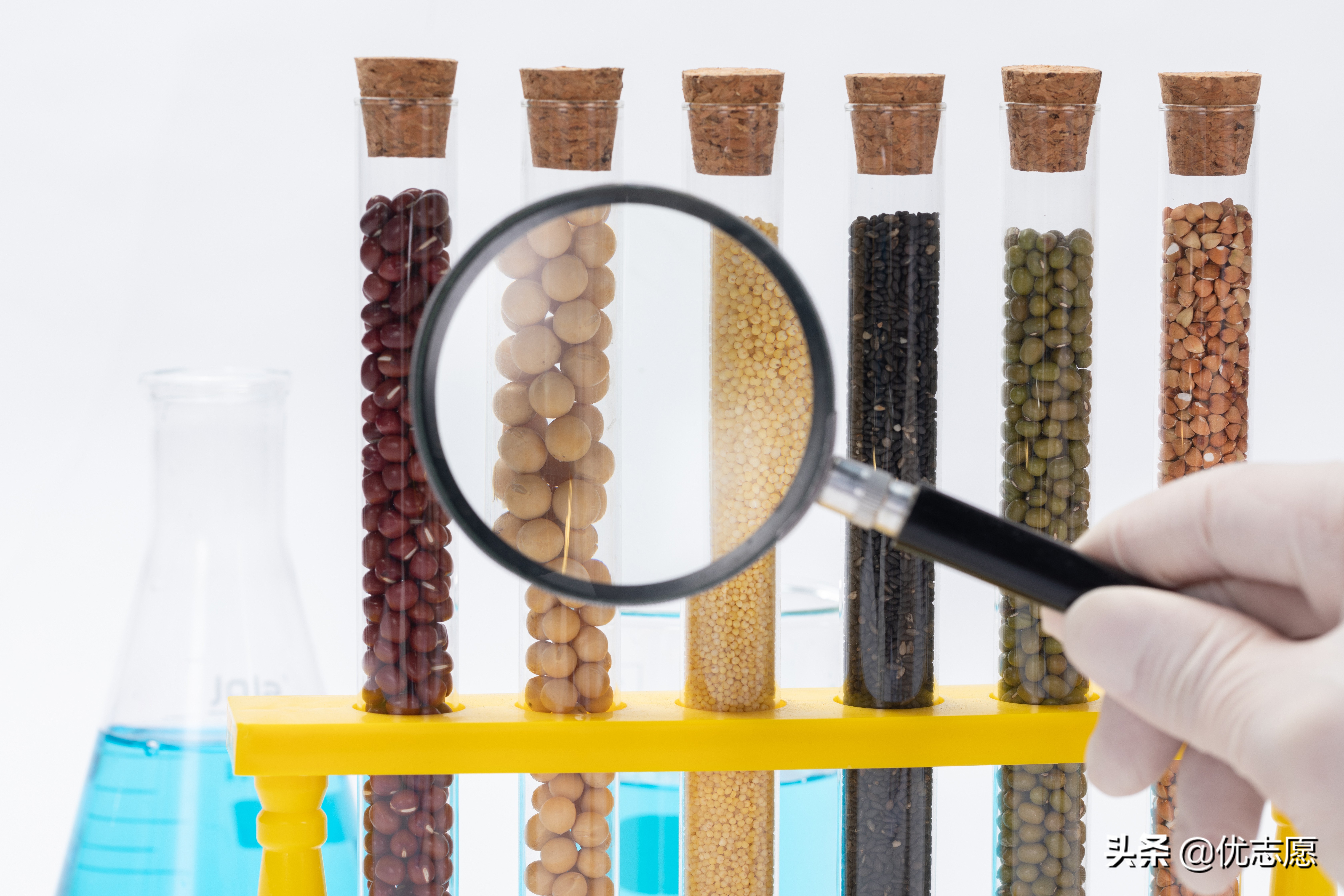 食品质量与安全专业和食品科学与工程专业，有什么区别？