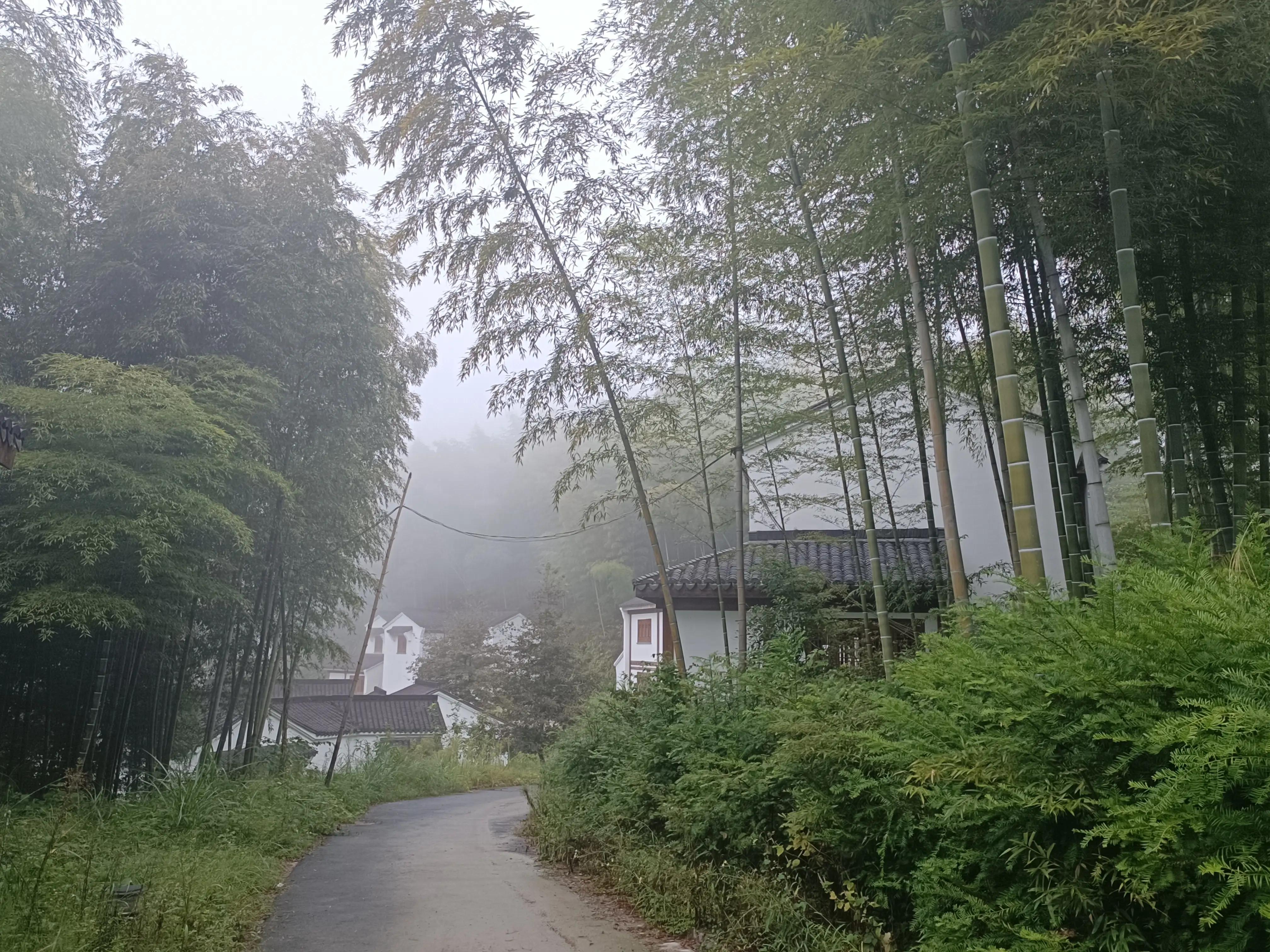 行到水穷处，坐看云起时一一雨游白云山