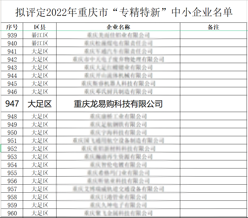 重庆龙易购科技入选2022年重庆市“专精特新”中小企业名单