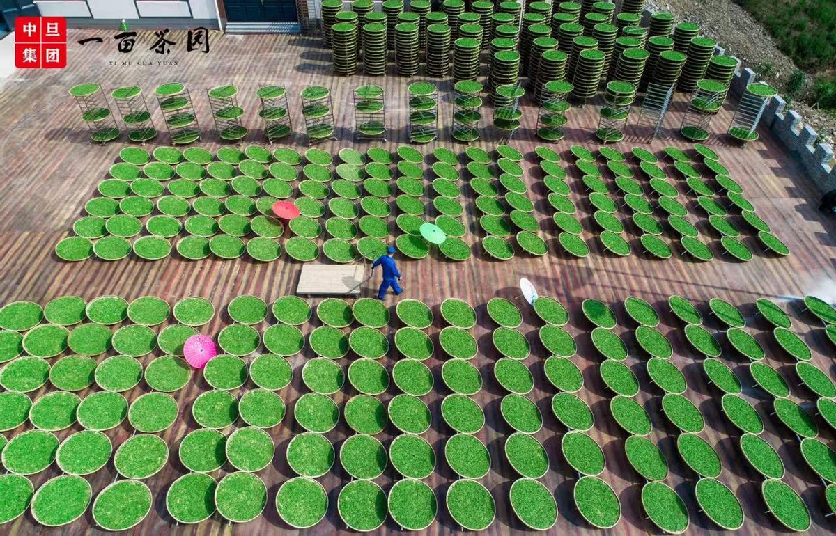 �е�һĶ��԰������ũҵ���������������ͬ��ԣ