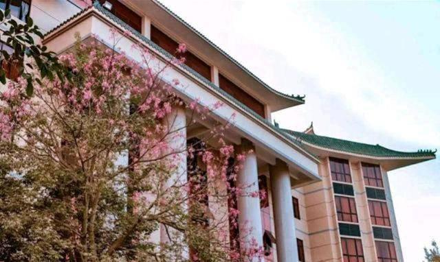 教育部发布通知，17所专科院校将升级本科，已考上的学生眼光独到