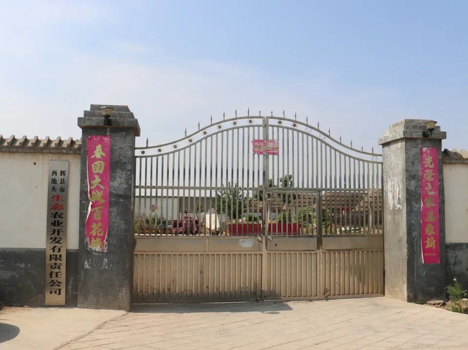 辉县市高庄乡西池头村“农光互补”：板下种养殖 致富新出路