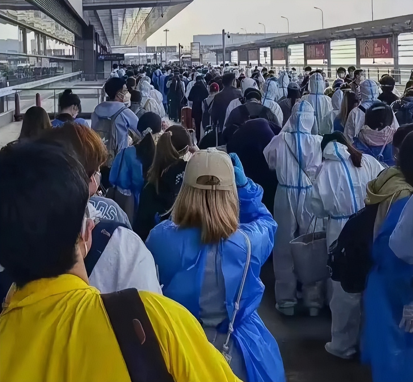 “离沪大潮”真来了！985毕业生有多无奈？最后发现还是回老家好