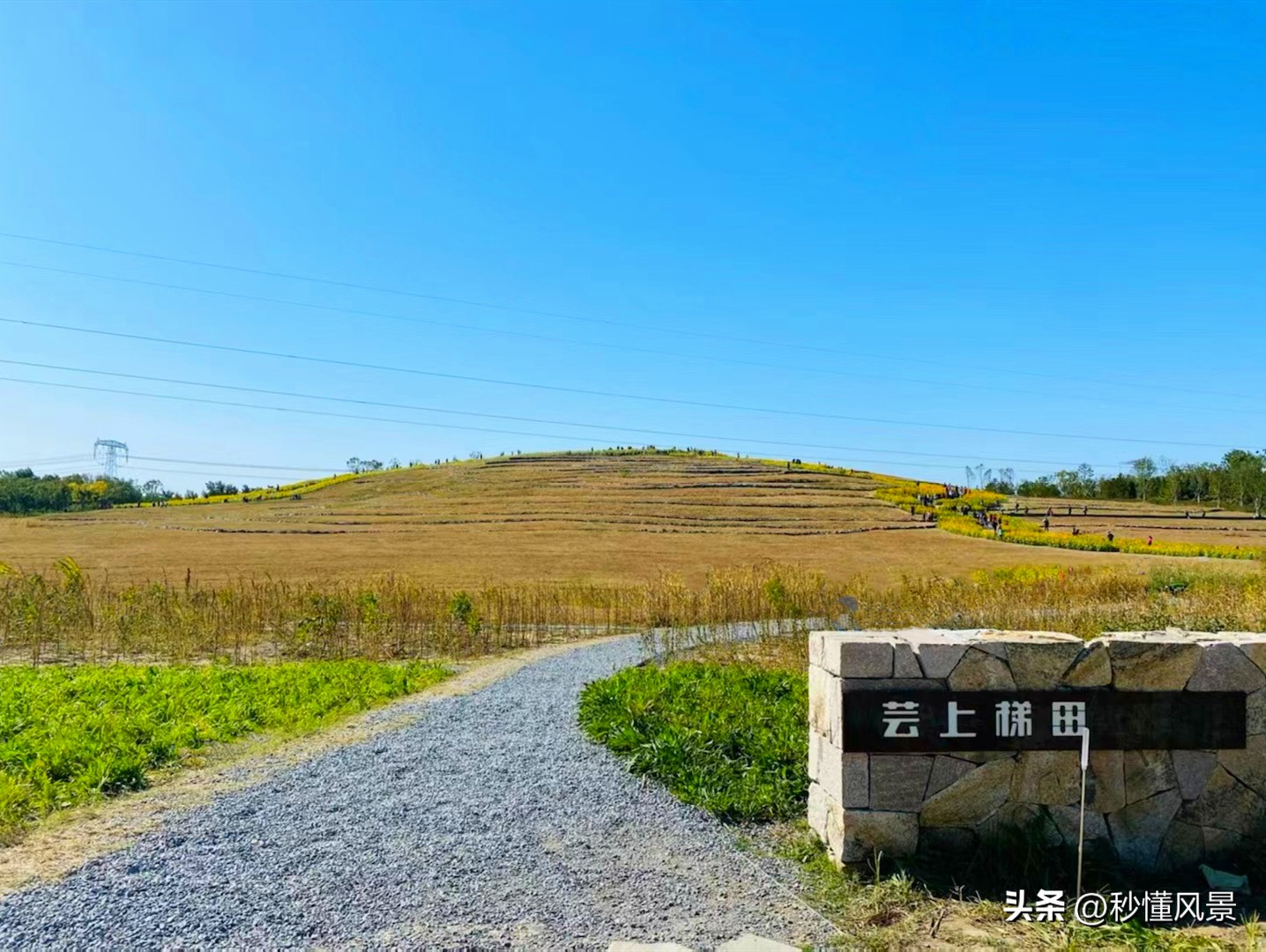 北京奥林匹克森林公园需要门票吗(北京遛娃赏秋好去处，比奥林匹克森林公园大4倍，免费却少有人知)