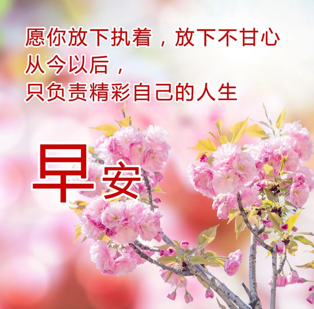 每天一句温馨的问候语图片 早晨问候早上好的暖心图片