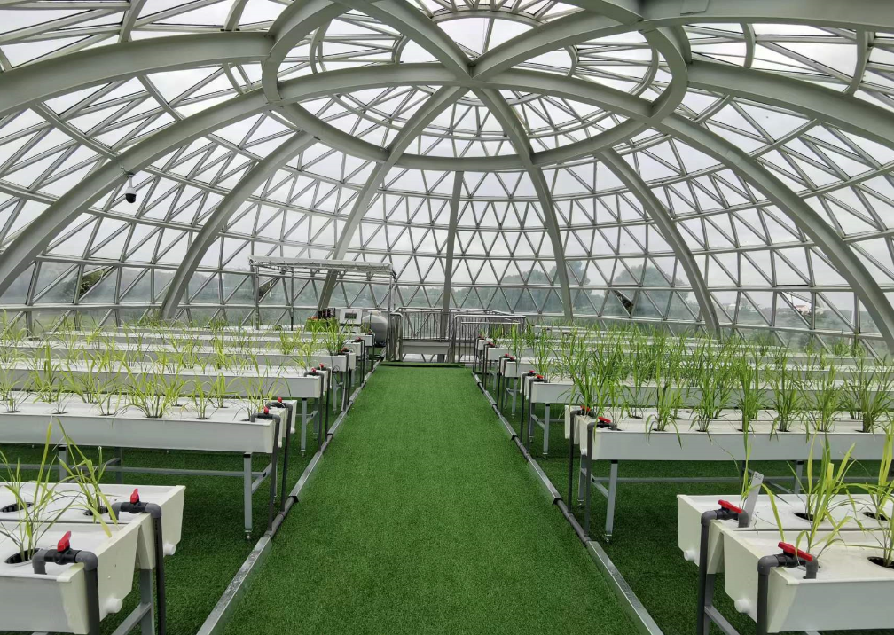 最新米神的个人频道（谷神科技“谷神占”获评“荆楚粮油”好吃大米品种）