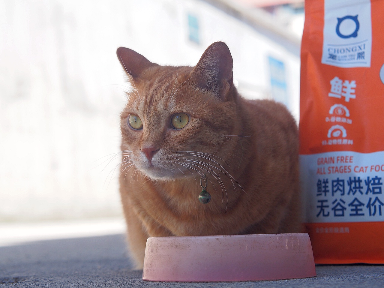 无谷鲜肉配方，宠熙猫粮毛孩子爱吃的猫粮