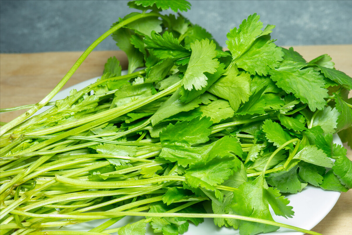蔬菜的分类都有哪些（26种不同的蔬菜和吃法）