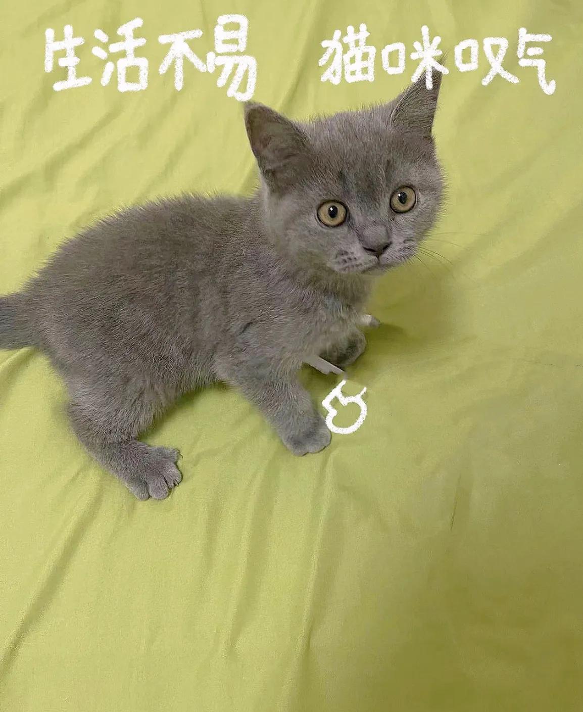 java程序员需要会什么技术？
