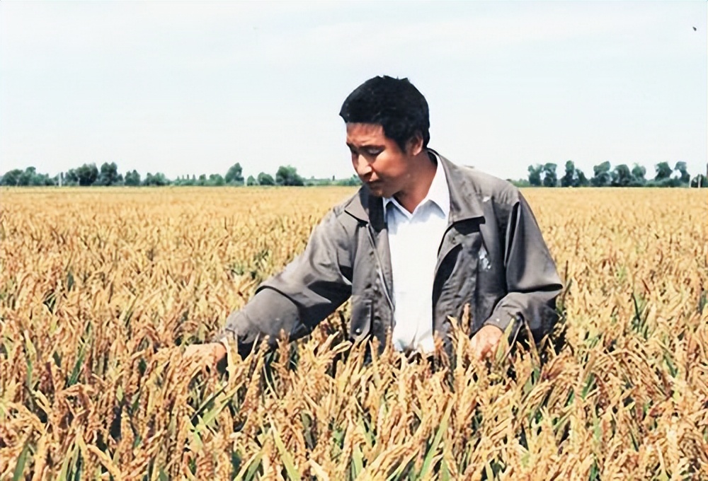 水稻院士除了袁隆平，还有好多