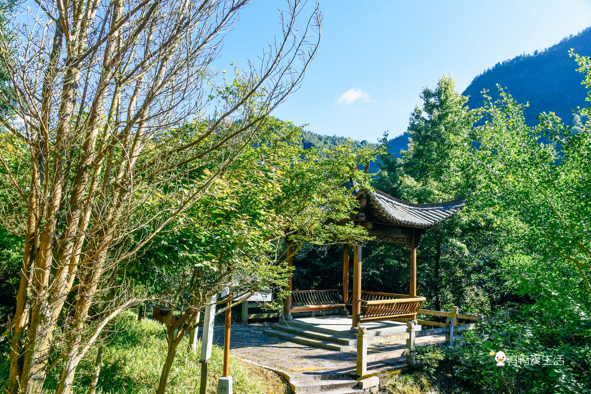 温州泰顺：住进超五星酒店泡温泉，假装在奈良逗小鹿，无比惬意