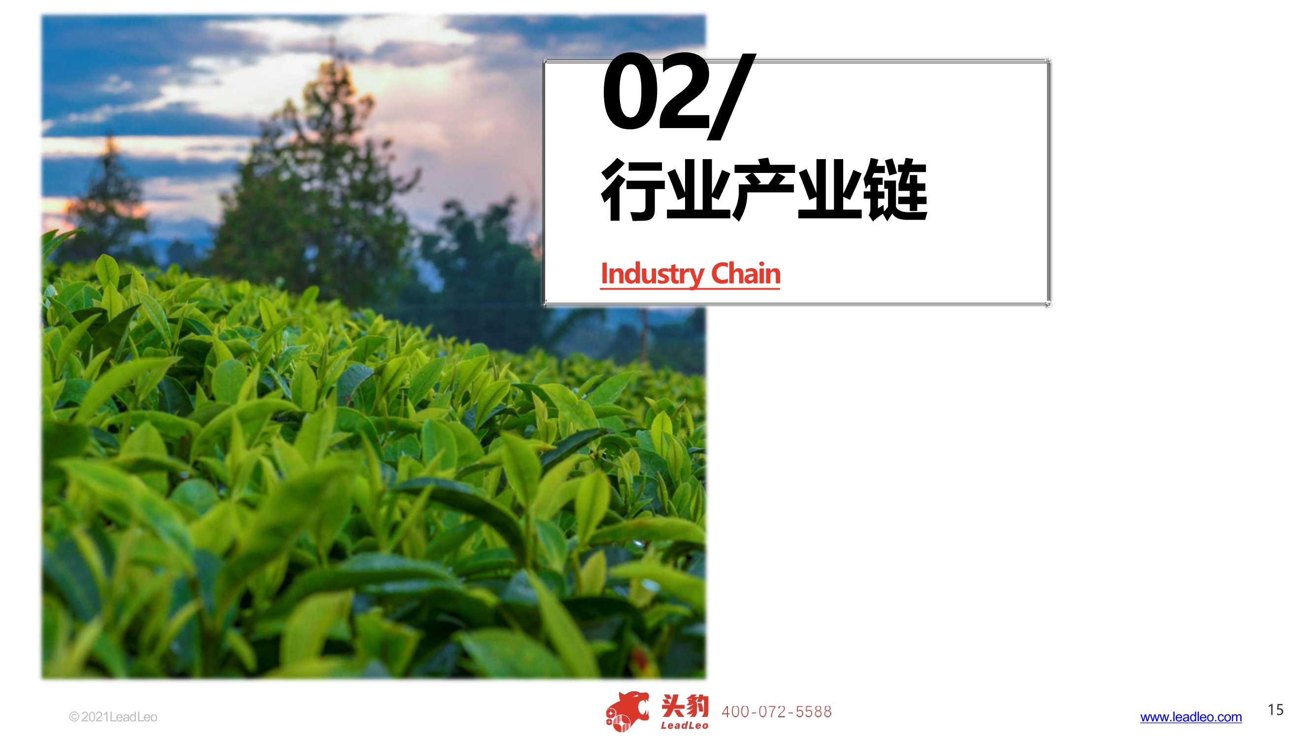 2021年中国网红茶饮行业报告（头豹研究院）
