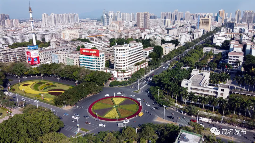 高擎党旗勇于担当！五年来茂名组织工作这样干 → | 迎接市第十二次党代会系列报道⑮