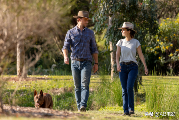 《完美搭配》：偶然的异国工作 促成一段佳缘