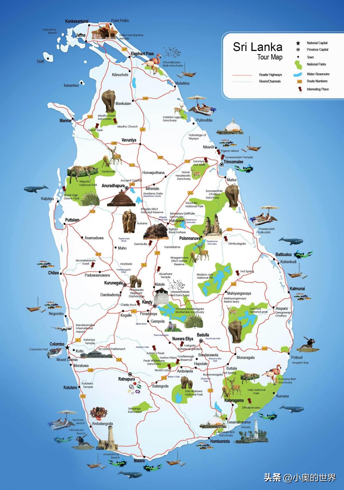 斯里兰卡是哪个国家 斯里兰卡国家现状