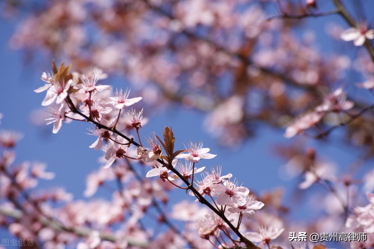 别人欠我3000元，一直不还我，我可以起诉立案吗