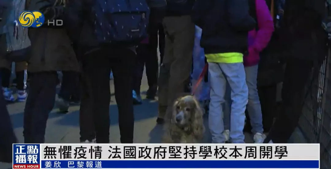 法国教育服务中心,法国教育服务中心网站