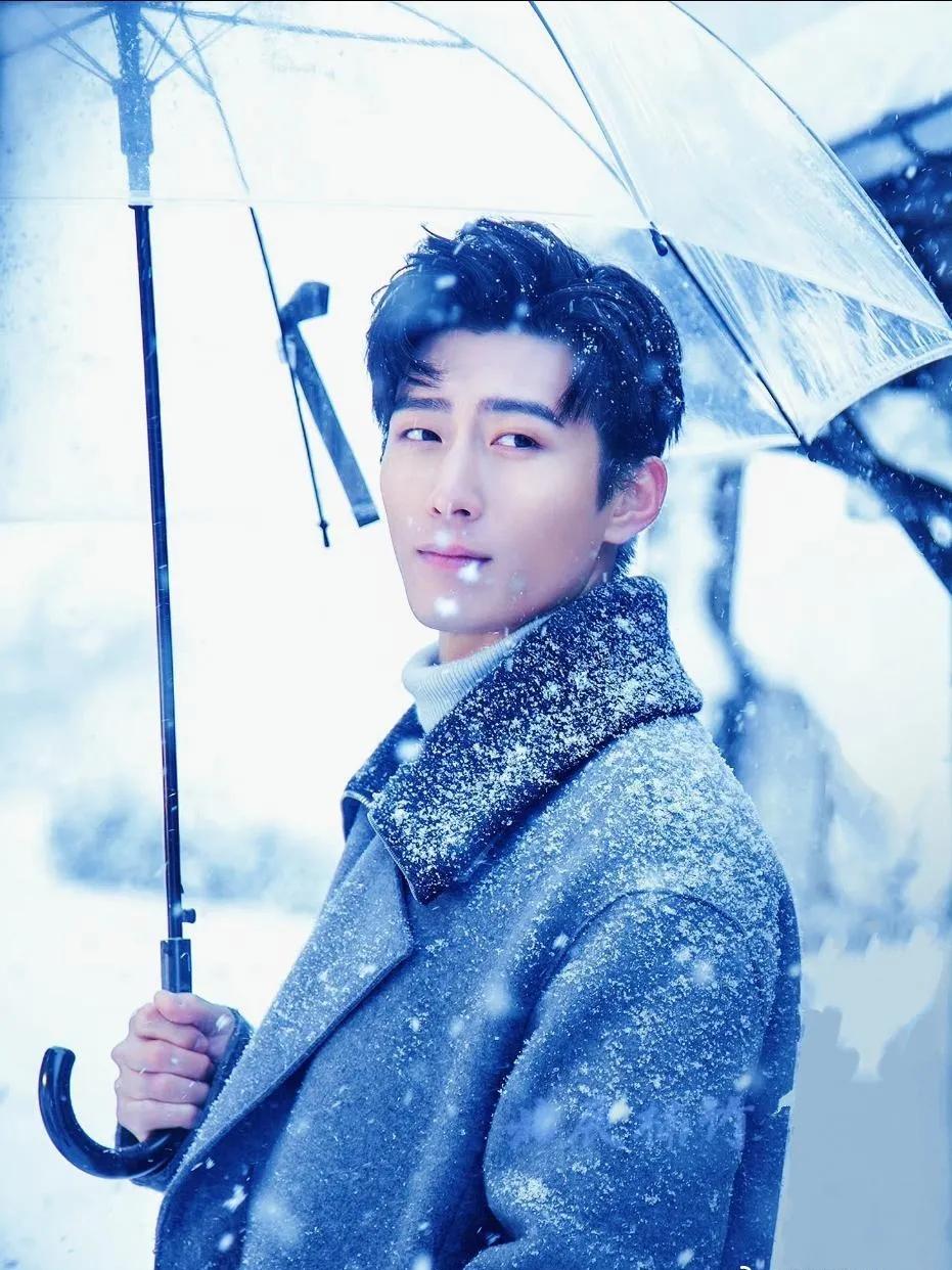 古装丑男？不，现代美男