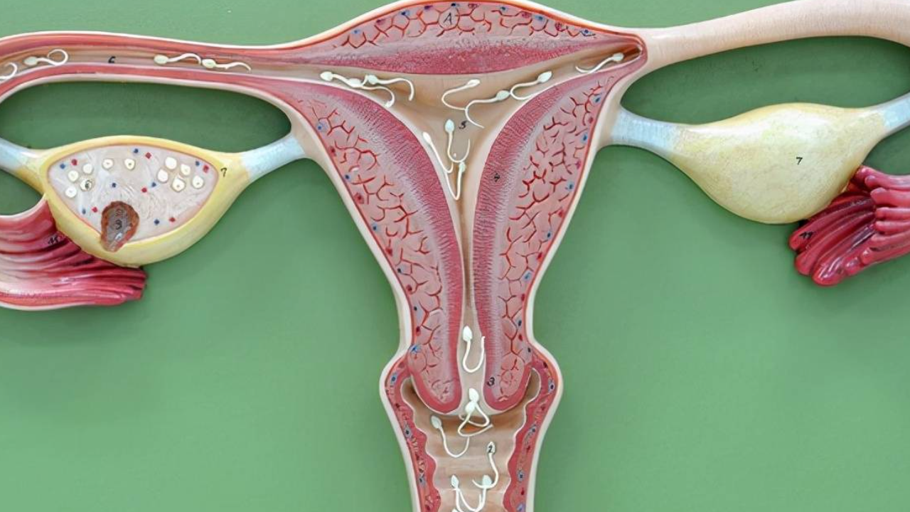 女性子宫很容易受伤,这7个行为对子宫伤害很大,尽量改掉