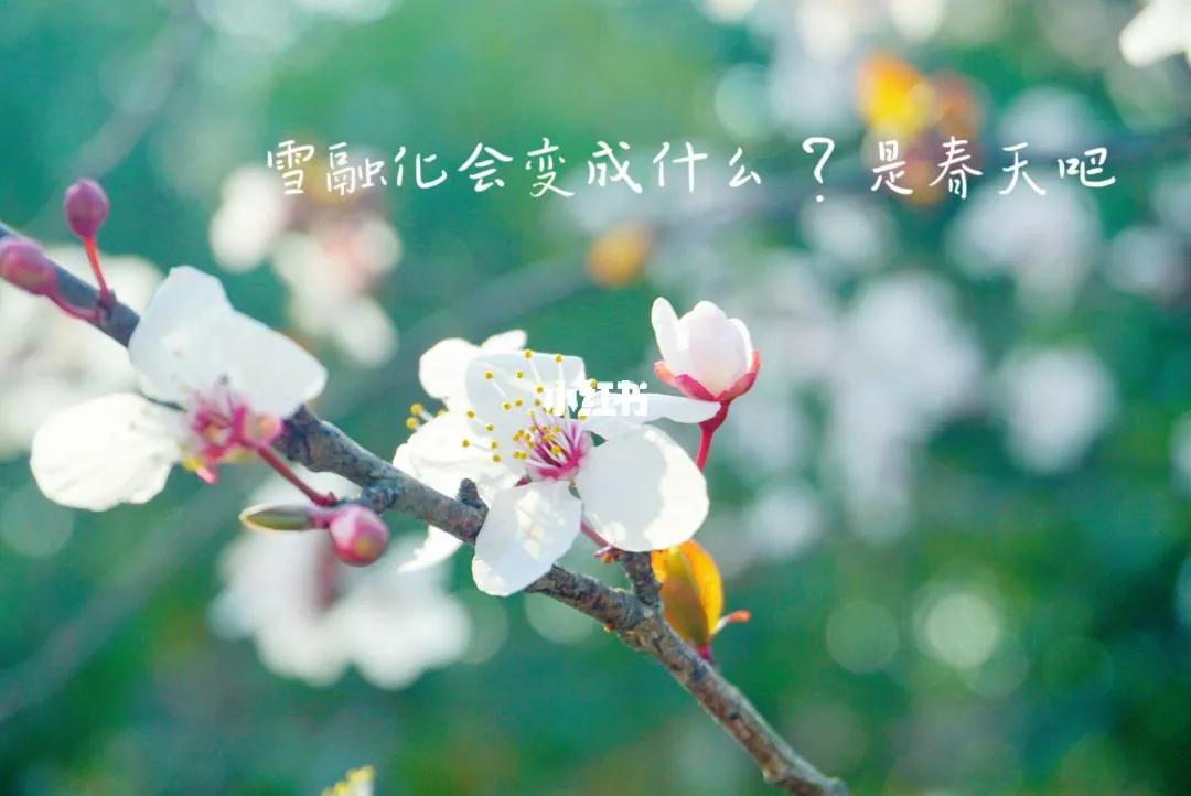 精美短句##朋友圈说说##春天#1,永远着迷于春天,花香令人心动贩 