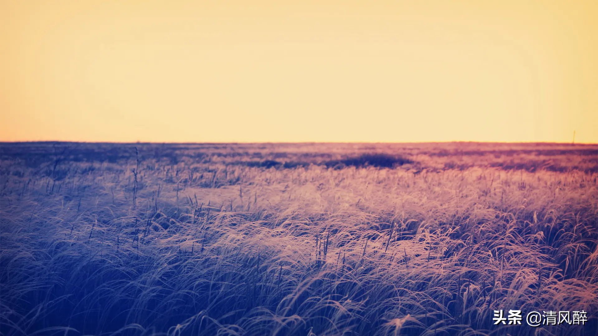 表达心情豁然开朗的个性签名,表达心情豁然开朗的句子_爱阅读