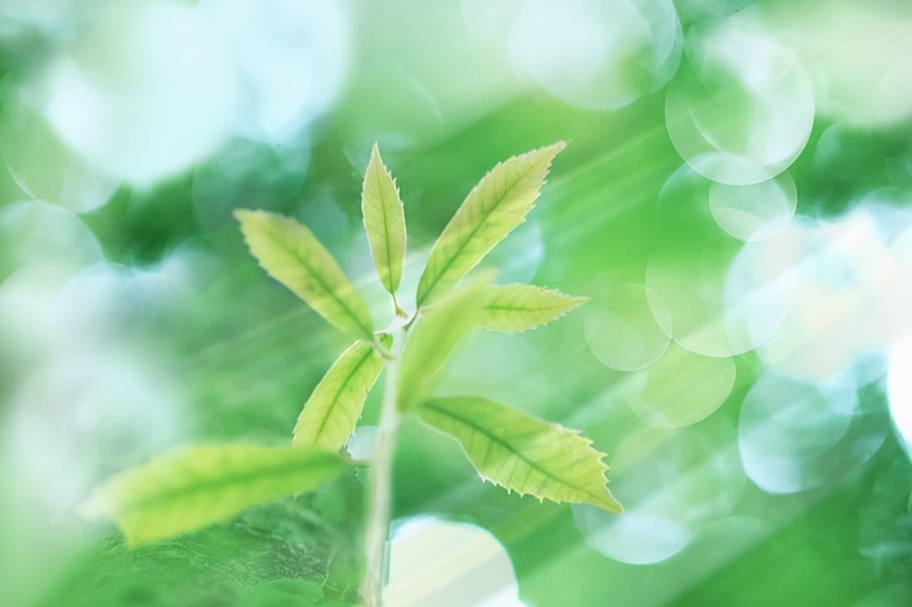 人心难测，善意总被辜负，心眼坏的人让世界变得冰冷而绝望