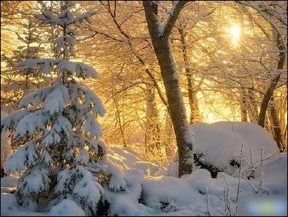 摘录的雪景的朋友圈唯美文案：「原来这 就是童话里的雪景」