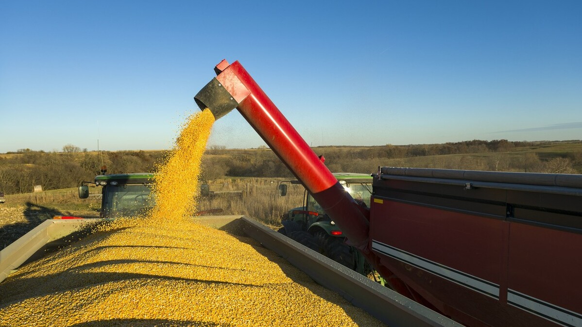 美国玉米2元一斤！全球粮价上涨，美国暗地操作，中储粮一招反击