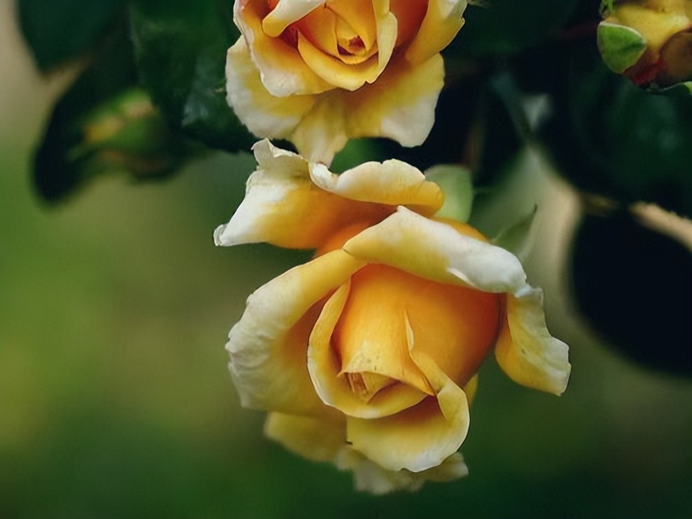 水瓶座在恋爱中的四个小心思？看似大大咧咧，实则很敏感，有温度