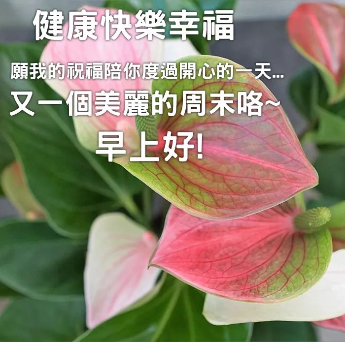 ĩ簲ͼƬף ĩͼƬִȫ