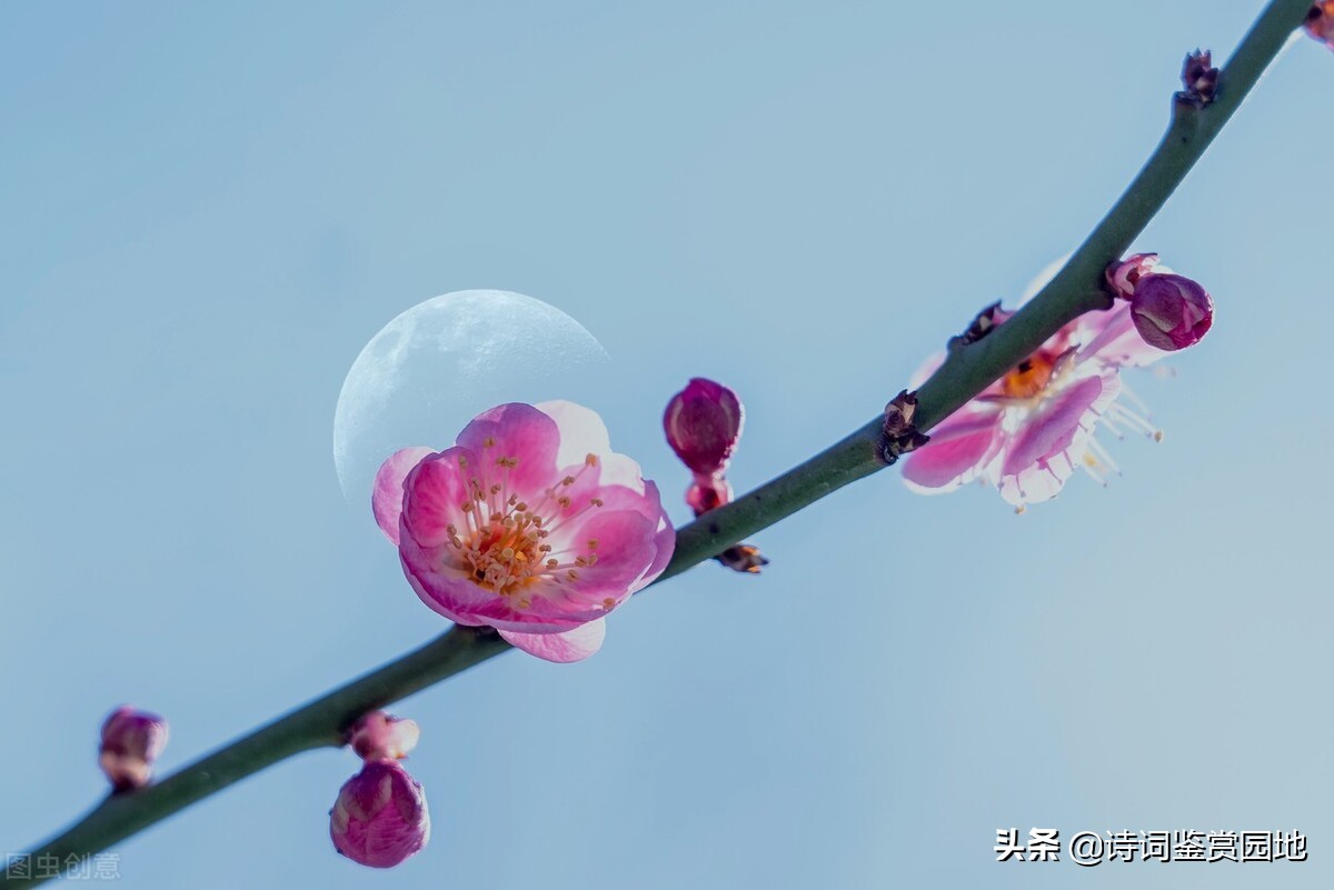 李清照4首写给丈夫的词，清丽脱俗，又缱绻情深，值得一读