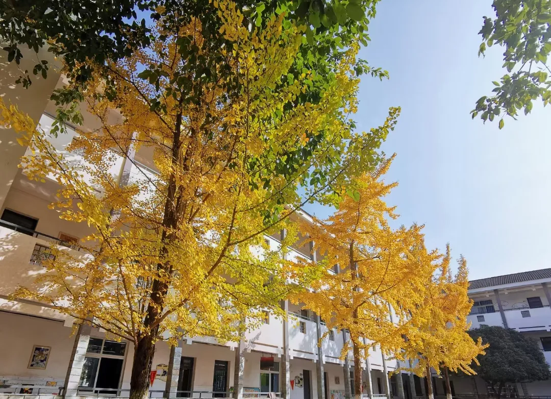 校园大扫除，生动的劳动教育课——黄龙溪学校开展劳动教育课程
