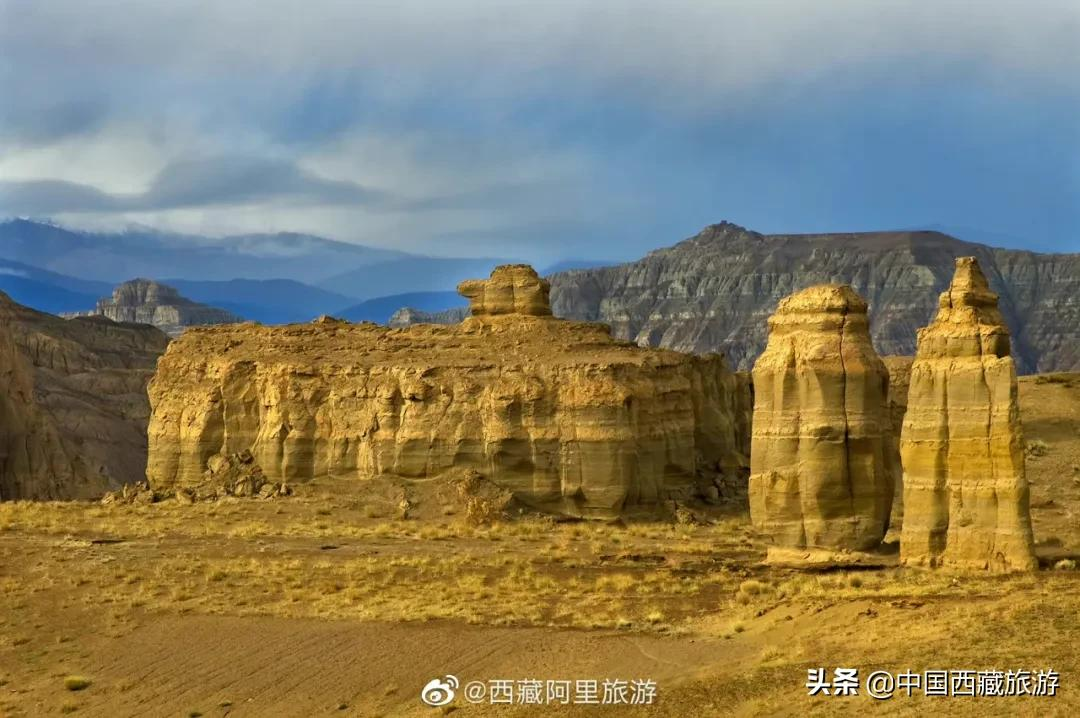 等一个人，陪我去阿里！