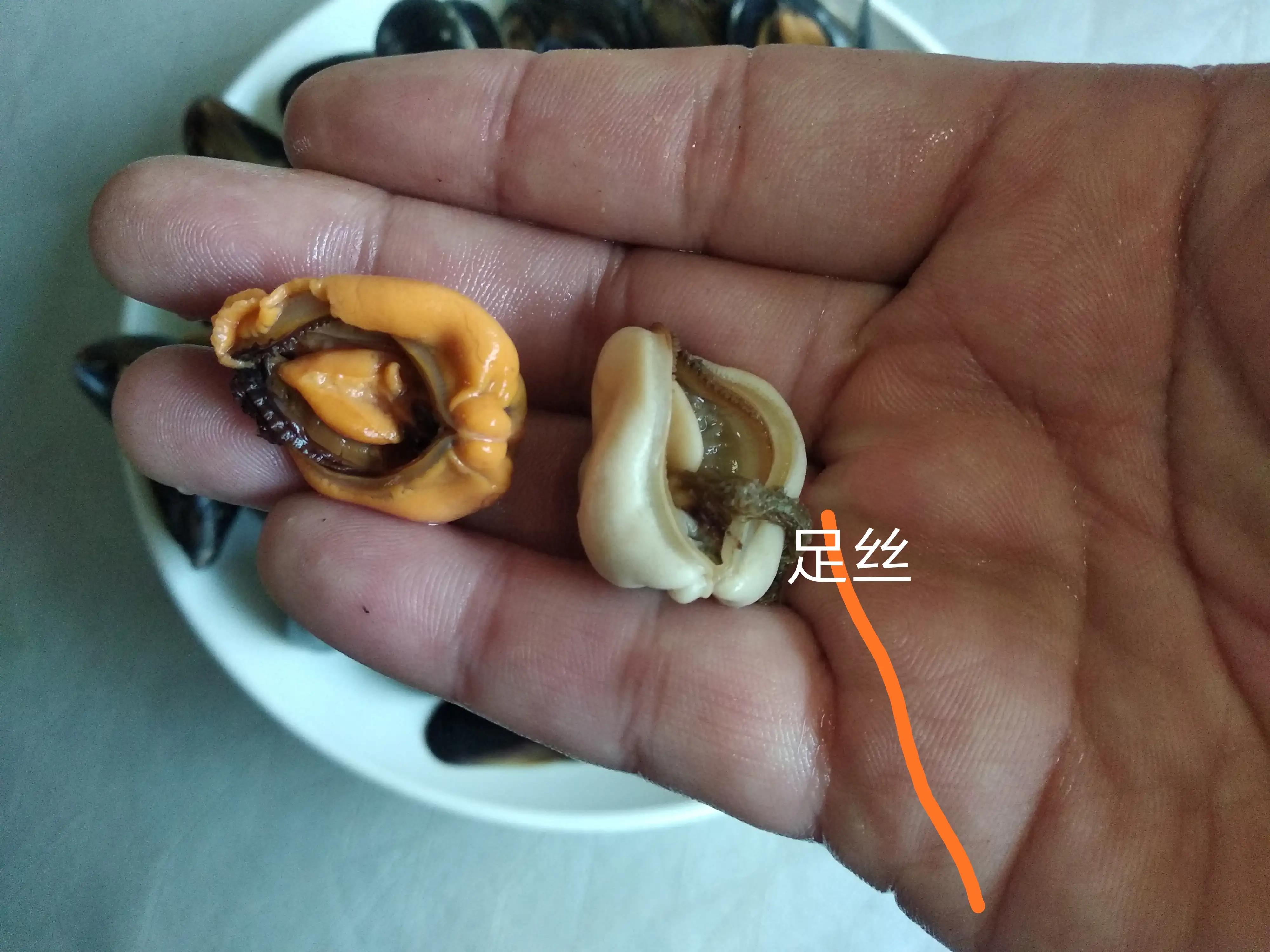 胶东人:别逗了!海虹可不能随便吃