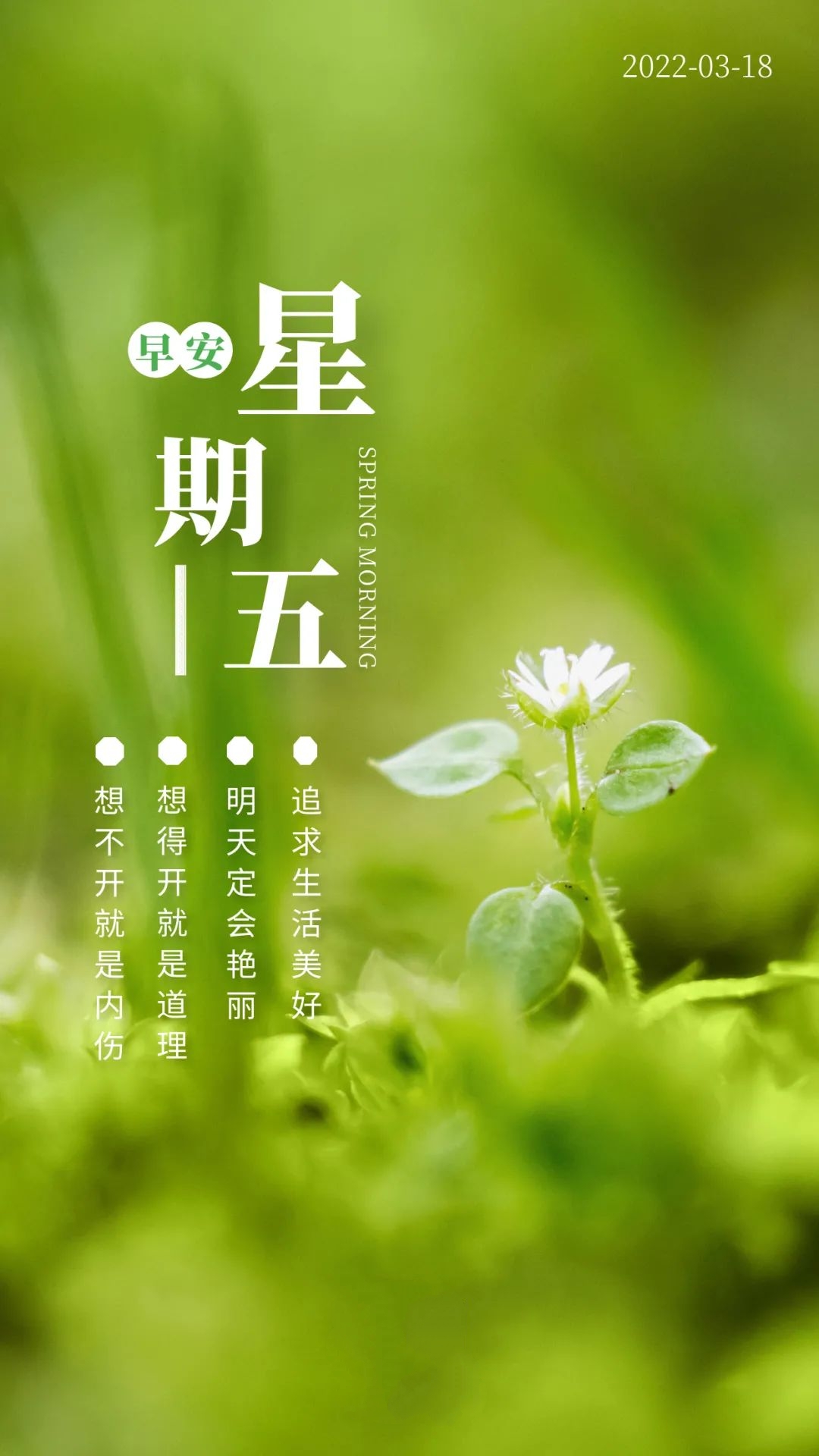 03.18」早安心语,正能量问候语短句子,唯美早安励志图文