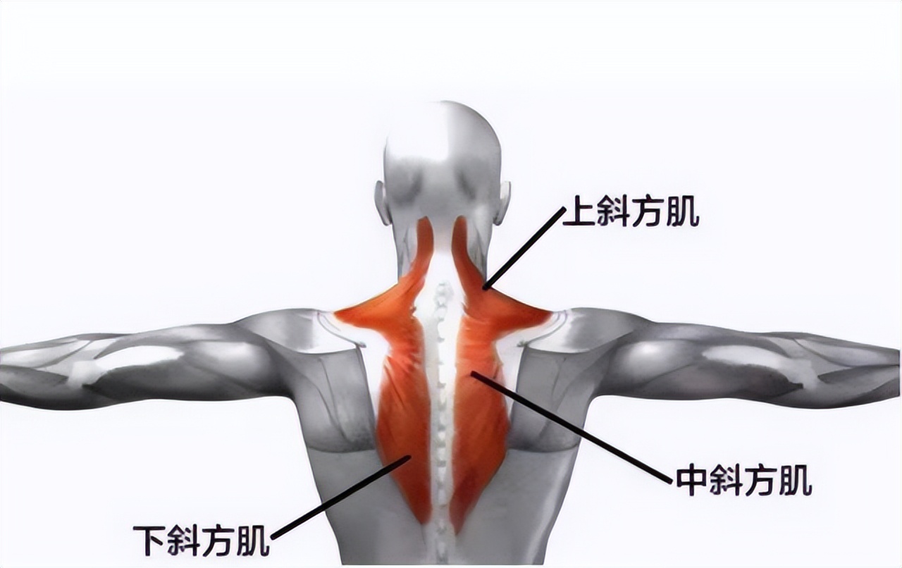 愛美塑形課2：你的美人肩攻略已到貨，快來看看吧