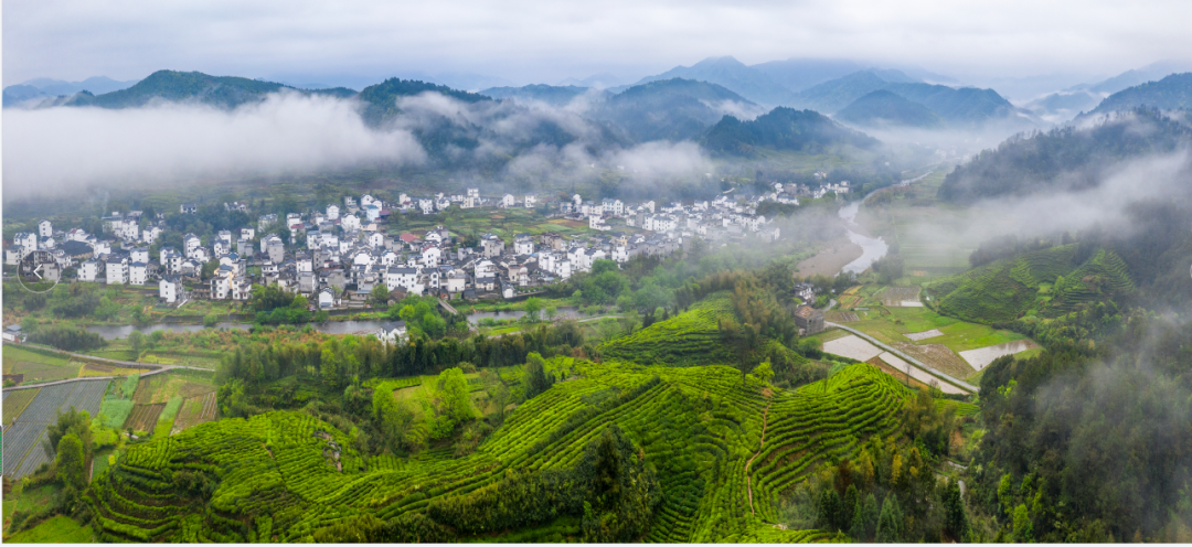 四季黄山 相约夏天 | 徽州村落美文欣赏丨愿作临溪一片云
