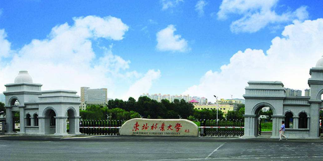 恭喜！黑龙江这5所高校，入驻“全国百强”，同时还有个好消息