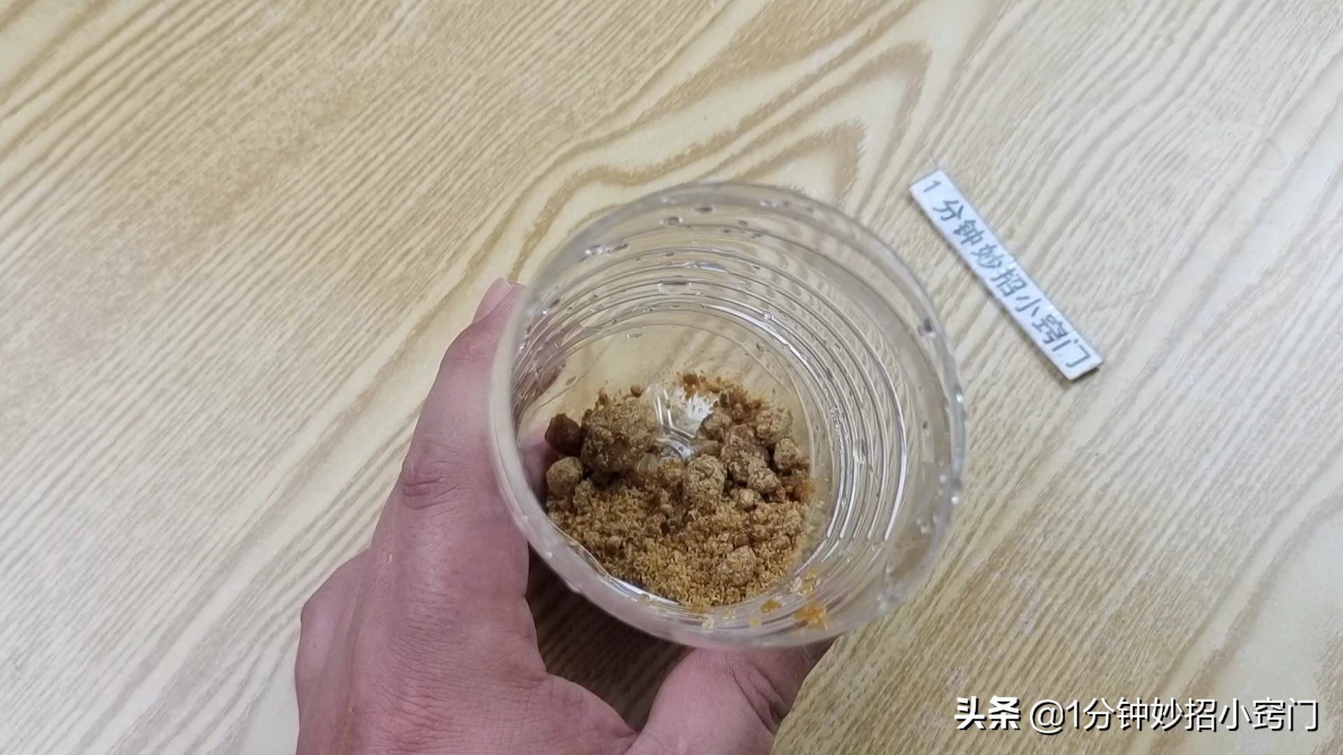 下面家里苍蝇多怎么办 教你自制消灭苍蝇小工具