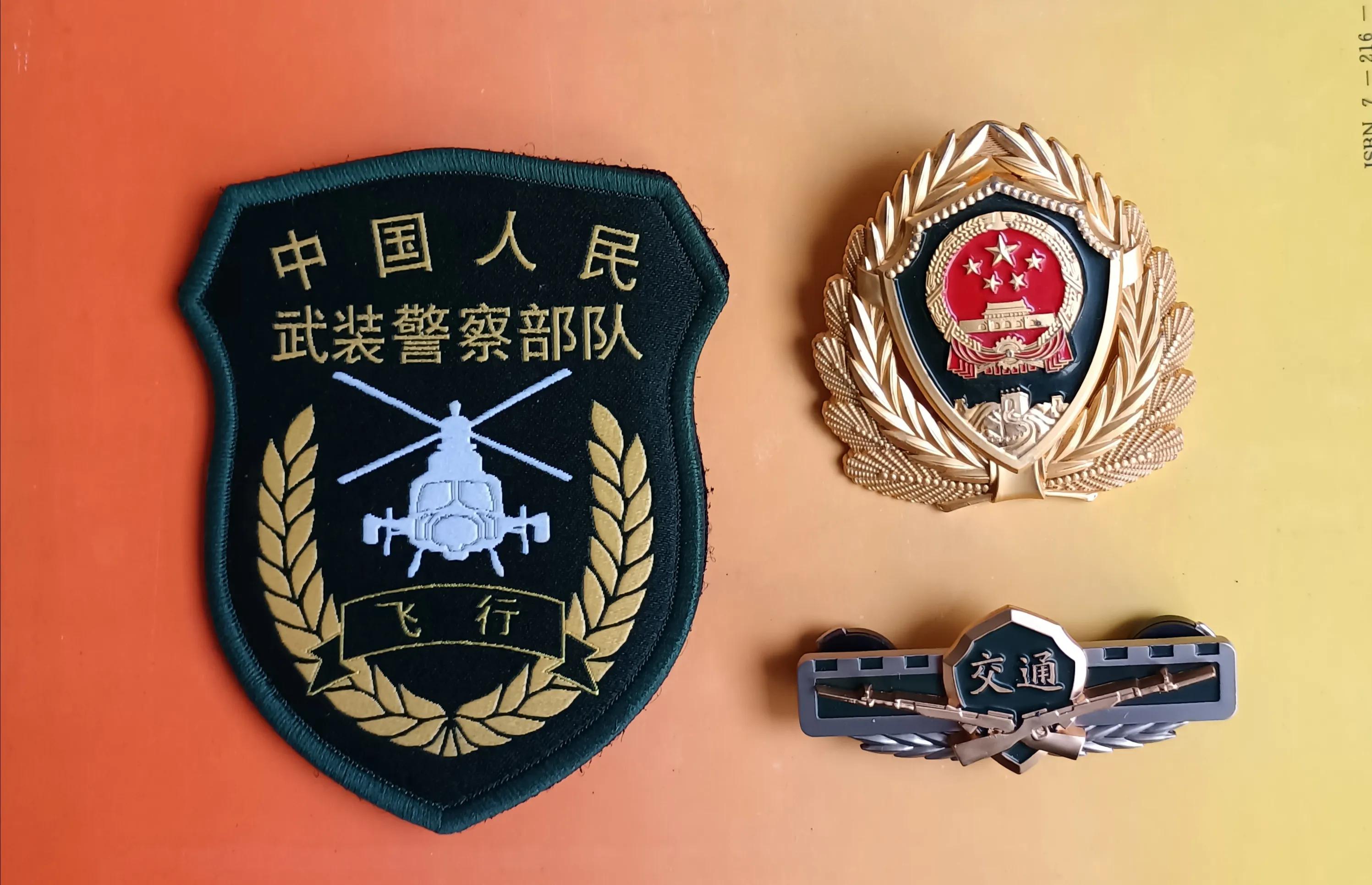 中国武警臂章大全图片