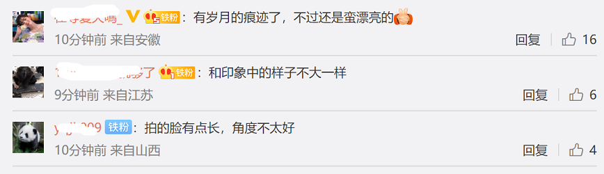 42岁宋慧乔外网生图翻车，法令纹多还地包天，被嘲有点儿凶相