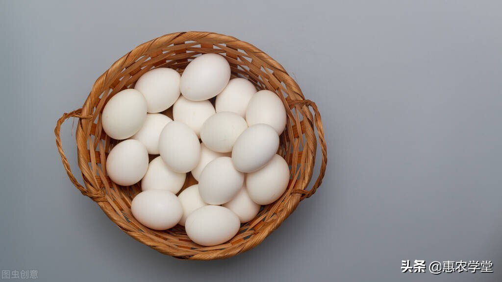 土鸡蛋多少钱一斤,土鸡蛋多少钱一斤2022