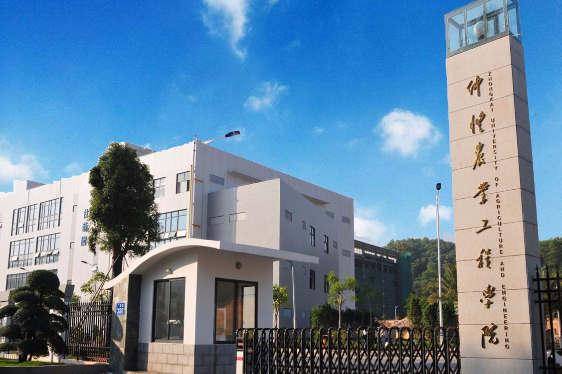 美术统考230/文化350分！省会城市最好考的公办本科院校有哪些？