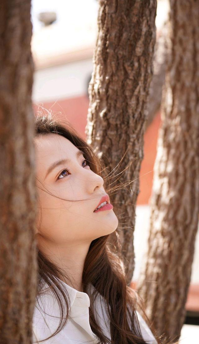 茗洋娱乐—美女明星-鲍天琦