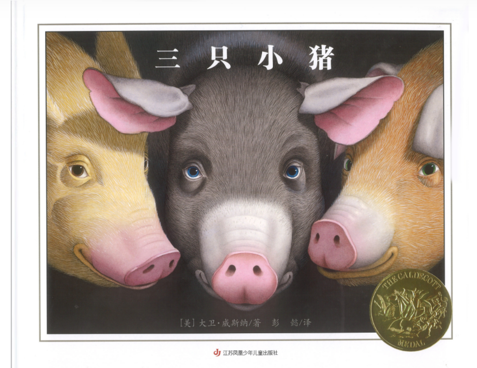 故事三只小猪的教案寓意