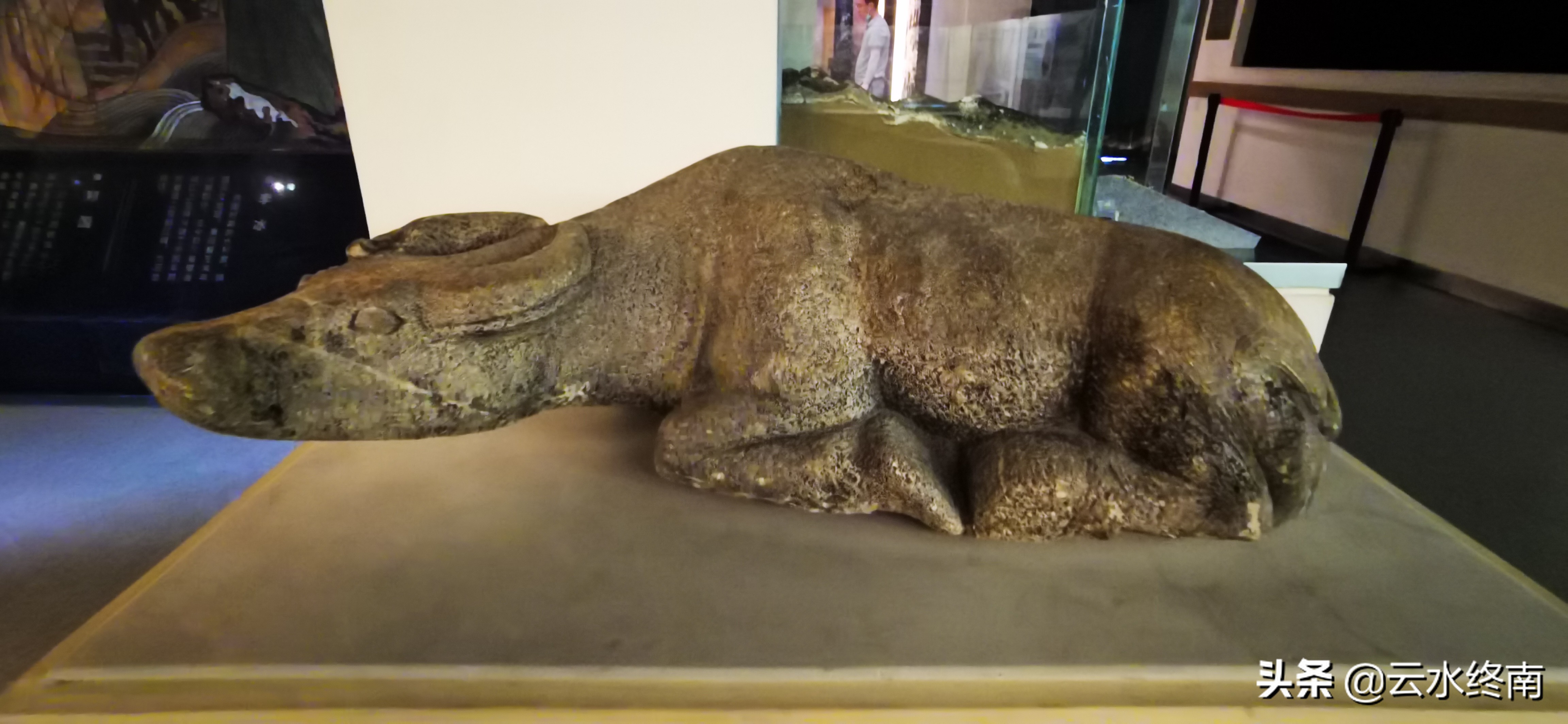 泽被百万人的水利之父，他没有做大官，蒋介石却赠送他母亲寿礼