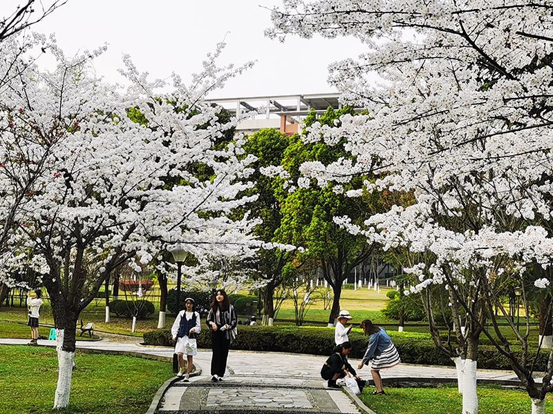 最新！教育部印发通知：重庆一高校3次上榜全国“重磅”名单！